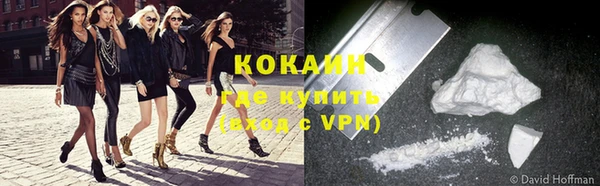крисы Алзамай